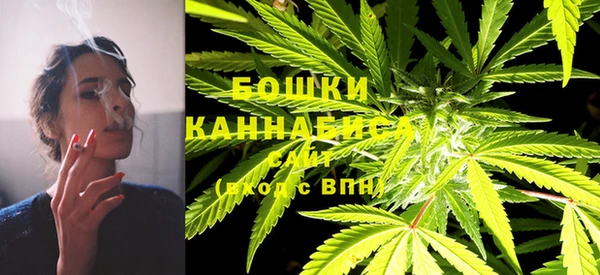 соль ск Осинники