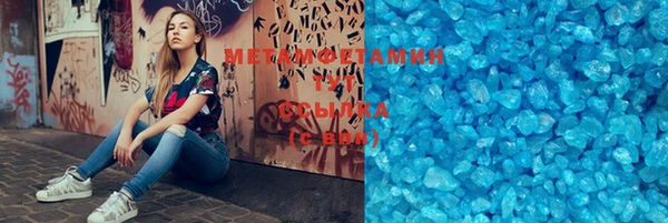 прущие грибы Пересвет
