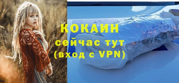 соль ск Осинники