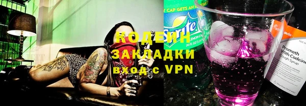 прущие грибы Пересвет