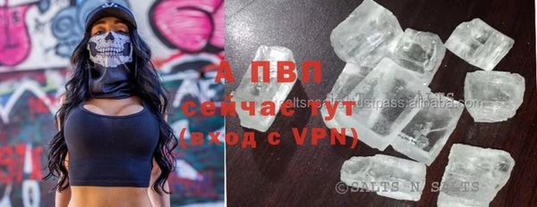 прущие грибы Пересвет