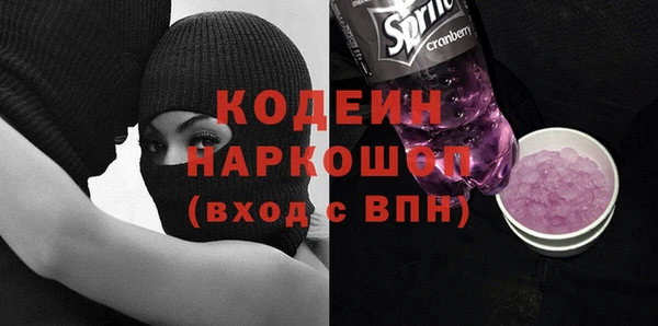 эйфоретик Няндома
