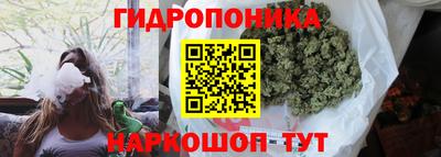 mdpv Кандалакша