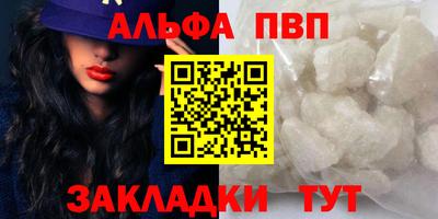 молекула духа Кингисепп