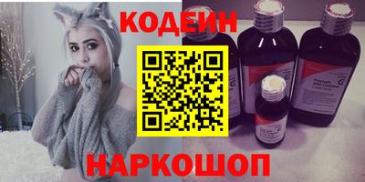 молекула духа Кингисепп