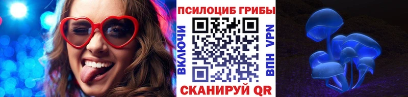 Галлюциногенные грибы GOLDEN TEACHER  нарко площадка наркотические препараты  Люберцы  магазин   